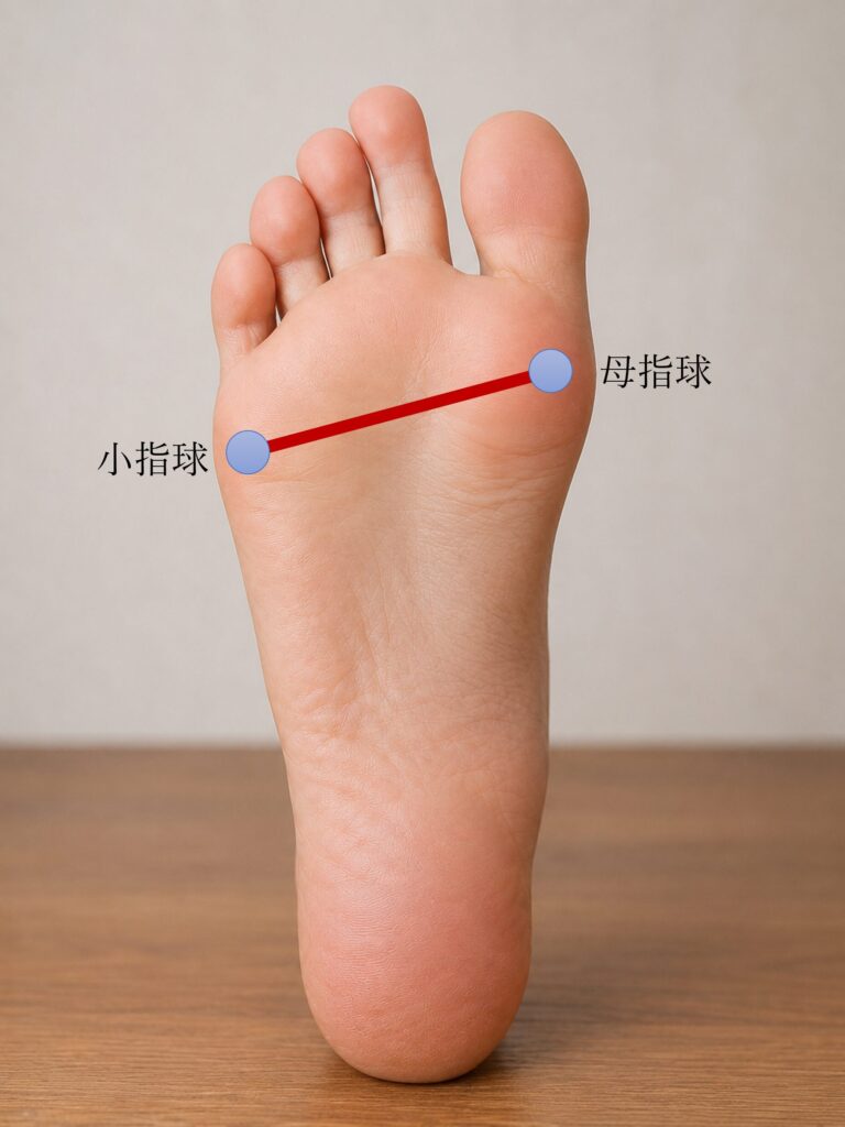 足底の屈曲ライン
