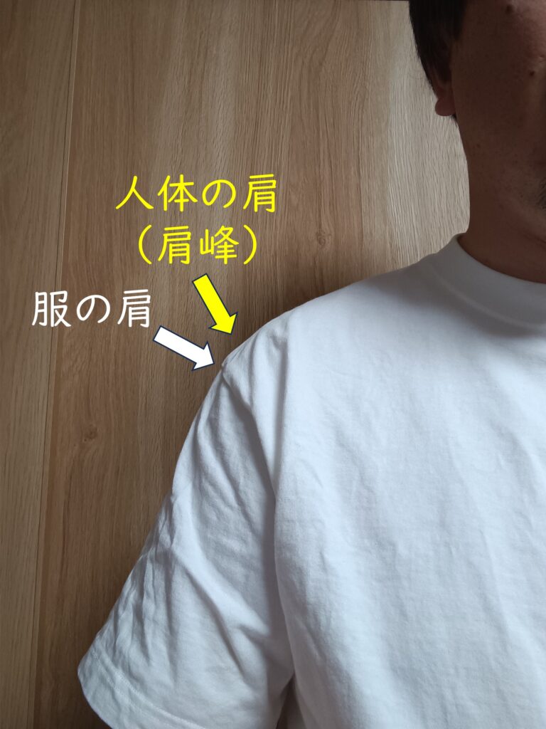 人体の肩よりも服の肩は外側にくることがある。